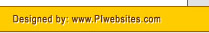 Professional, affordable web site design and hosting for investigators